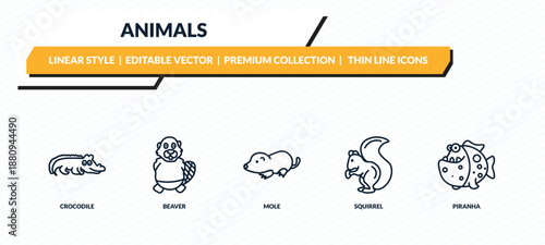 animals icons set - crocodile, beaver, mole, squirrel, piranha outline vector collection.
