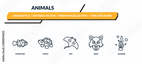animals icons set - clown fish, turtle, ray, wolf, seaweed outline vector collection.