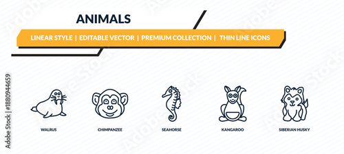 animals icons set - walrus, chimpanzee, seahorse, kangaroo, siberian husky outline vector collection.