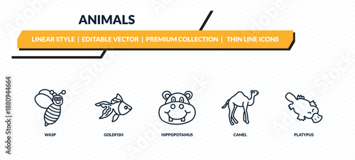 animals icons set - wasp, goldfish, hippopotamus, camel, platypus outline vector collection.