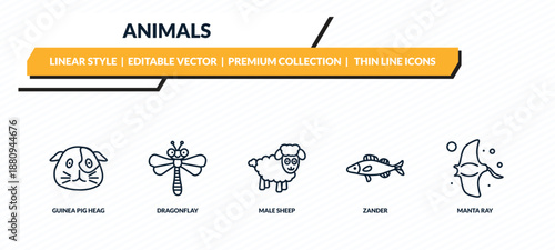 animals icons set - guinea pig heag, dragonflay, male sheep, zander, manta ray outline vector collection.