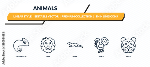 animals icons set - chameleon, lion, mink, cock, tiger outline vector collection.