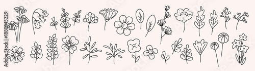 Set of line art flowers, branches, foliage and buds. Elegant botanical hand drawn floral elements with editable stroke for decorative design, prints, cards, wedding invitation, stationery. Vector