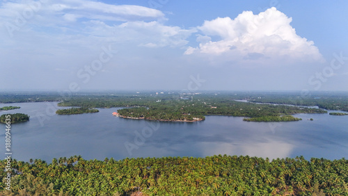Wallpaper Mural Minimalist nature wallpaper featuring the vibrant green fronds of coconut palm trees against a clear bright blue sky in Kerala. Torontodigital.ca