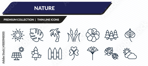 nature icons set - shining sun with rays, philodendron, coconut tree standing, leaf monstera, sunny protic outline vector collection.