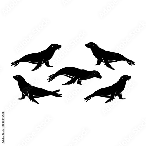 Silhouettes of majestic marine mammals: a collection of sea lions or seals in various dynamic poses