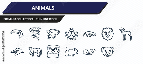 animals icons set - big toucan, coral snake, iguana, rat, weasel outline vector collection.