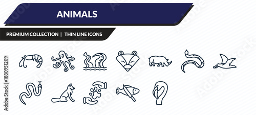 animals icons set - salamander, prawn, alligator, fish and a knife, flamingo outline vector collection.
