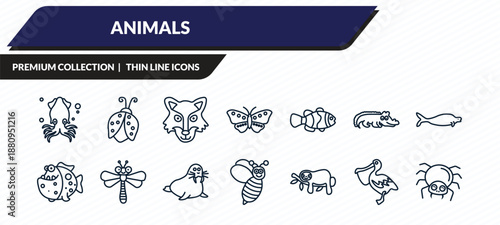 animals icons set - squid, ladybug, wolf, pelican, spider outline vector collection.