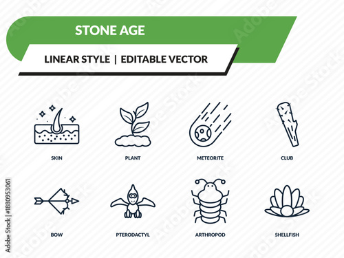 stone age icons set - skin, plant, meteorite, arthropod, shellfish outline vector collection.