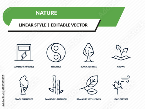nature icons set - eco energy source, fengshui, black ash tree, branches with leaves, leafless tree outline vector collection.