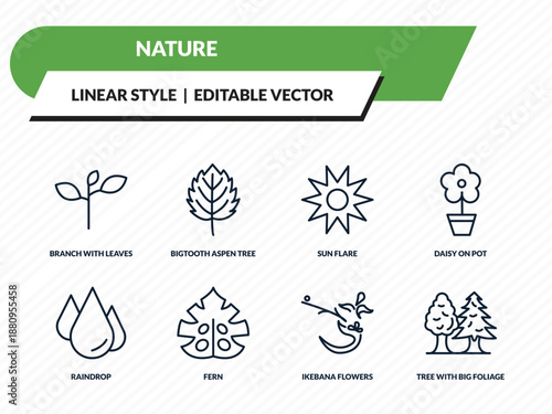 nature icons set - branch with leaves, bigtooth aspen tree, sun flare, ikebana flowers, tree with big foliage outline vector collection.