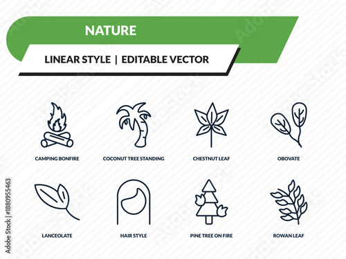 nature icons set - camping bonfire, coconut tree standing, chestnut leaf, pine tree on fire, rowan leaf outline vector collection.
