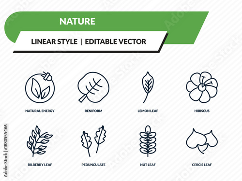 nature icons set - natural energy, reniform, lemon leaf, nut leaf, cercis leaf outline vector collection.