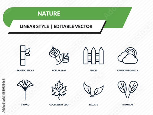 nature icons set - bamboo sticks, poplar leaf, fences, falcate, plum leaf outline vector collection.