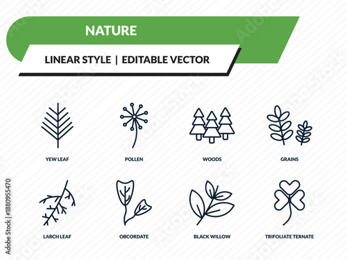 nature icons set - yew leaf, pollen, woods, black willow, trifoliate ternate outline vector collection.