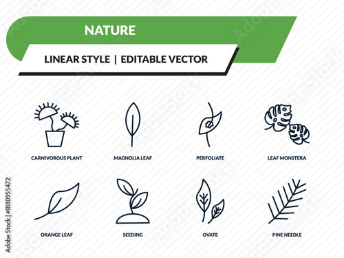 nature icons set - carnivorous plant, magnolia leaf, perfoliate, ovate, pine needle outline vector collection.