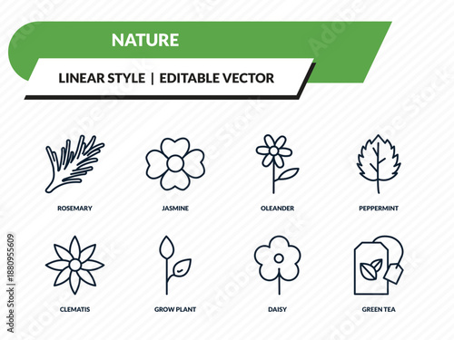 nature icons set - rosemary, jasmine, oleander, daisy, green tea outline vector collection.