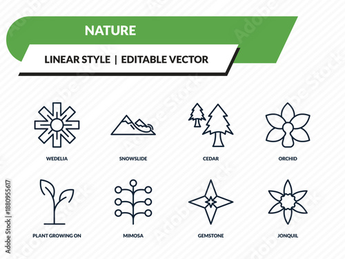 nature icons set - wedelia, snowslide, cedar, gemstone, jonquil outline vector collection.