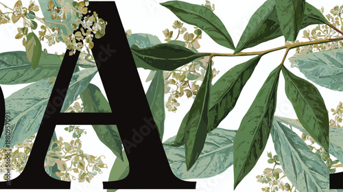 Elegant capital letter A with vintage botanical illustration of green leaves and delicate white flowers. Decorative typography design.