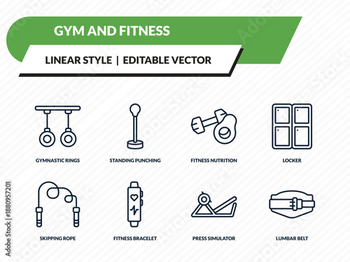 gym and fitness icons set - gymnastic rings, standing punching ball, fitness nutrition, press simulator, lumbar belt outline vector collection.