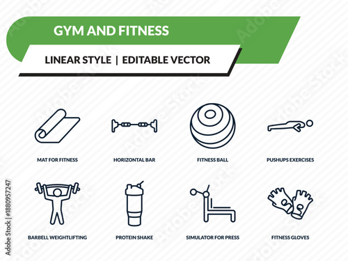 gym and fitness icons set - mat for fitness, horizontal bar, fitness ball, simulator for press, gloves outline vector collection.