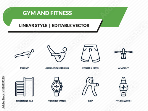 gym and fitness icons set - push up, abdominal exercises, fitness shorts, grip, fitness watch outline vector collection.