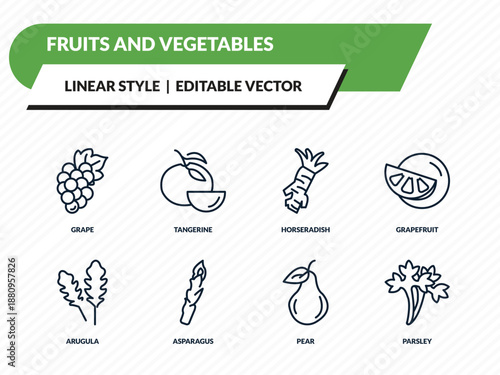 fruits and vegetables icons set - grape, tangerine, horseradish, pear, parsley outline vector collection.