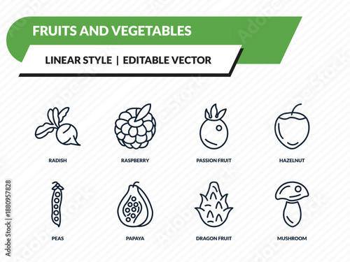 fruits and vegetables icons set - radish, raspberry, passion fruit, dragon fruit, mushroom outline vector collection.