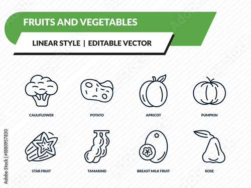 fruits and vegetables icons set - cauliflower, potato, apricot, breast milk fruit, rose outline vector collection.
