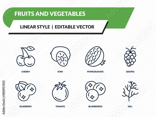 fruits and vegetables icons set - cherry, kiwi, pomegranate, blueberries, dill outline vector collection.