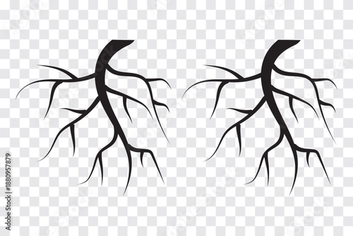 symmetric root silhouette. Black root icon. EPS 10.