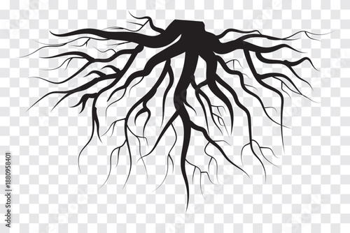 Tree roots icon. Natural root system, Vector illustration. EPS 10.