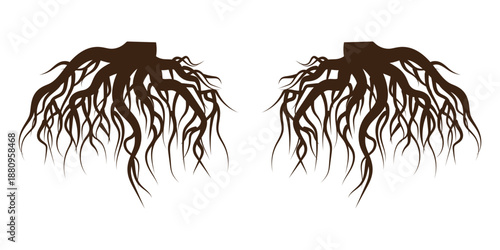 Black tree roots,tree roots silhouette,tree roots silhouette,tree roots icon and tree roots logo icon set. Vector illustration. EPS 10.