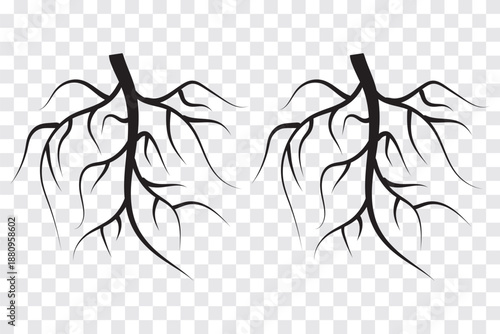 Tree root icon vector illustration logo template set. Eps 10.