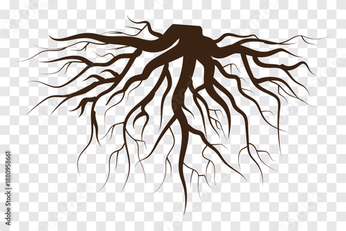 Tree roots icon. Natural root system, Vector illustration. EPS 10.
