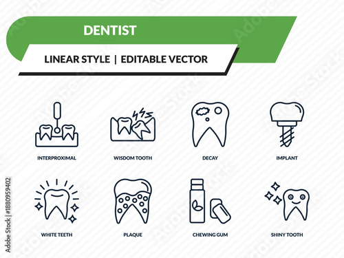 dentist icons set - interproximal, wisdom tooth, decay, chewing gum, shiny tooth outline vector collection.