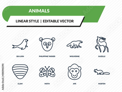 animals icons set - sea lion, philippine tarsier, wolverine, ape, marten outline vector collection.