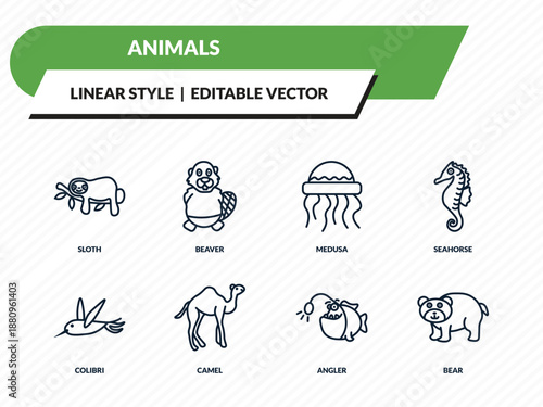 animals icons set - sloth, beaver, medusa, angler, bear outline vector collection.