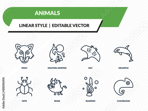 animals icons set - wolf, dolphin jumping, ray, seaweed, chameleon outline vector collection.