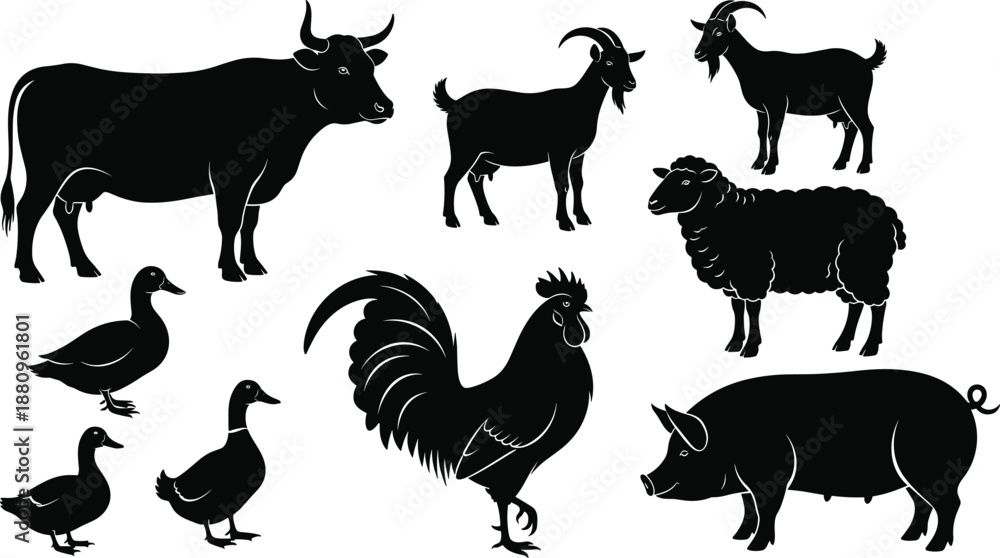 Fototapeta premium Farm animal silhouettes, goat, sheep, ram, duck, goose, turkey, black and white, vector illustration, livestock icons, rural, agriculture set