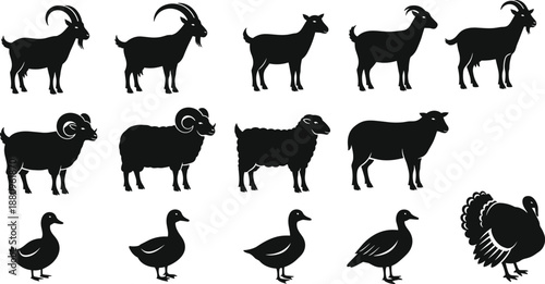 Farm animal silhouettes, goat, sheep, ram, duck, turkey, black and white, vector illustration, livestock icons, rural, agriculture, editable set
