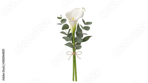 White calla lily flower isolated on transparent background