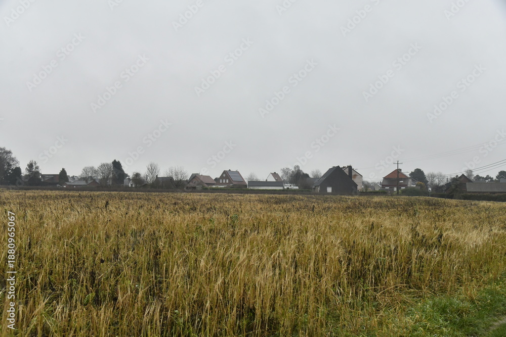 Fototapeta premium Paysage rural et plat sous la bruine battante à Frasnes-Lez-Gosselies (Charleroi) 