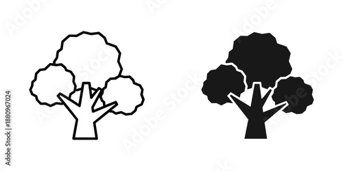 Two trees side by side