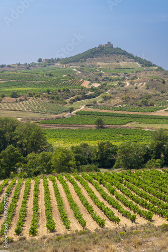 Bild auf Leinwand Vineyards with castle of San Vicente de la Sonsierra, La Rioja, Spain