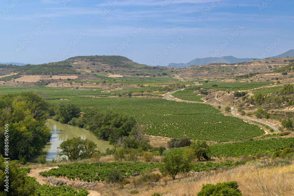 Naklejka premium Vineyards growing along Ebro River in La Rioja, Spain