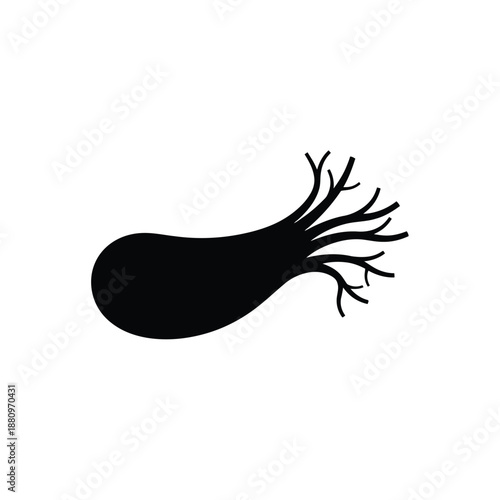 Vector illustration icon a black silhouette of a neuron cell with branching dendrites and axon terminals