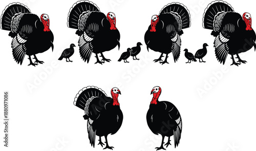 Turkey family illustration set, wild turkey silhouettes with chicks, farm poultry concept, thanksgiving bird collection, black red vector design