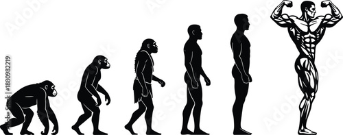 Evolution of man from primate to modern human and muscular bodybuilder, progressive development of male fitness, strength training, and physical growth vector